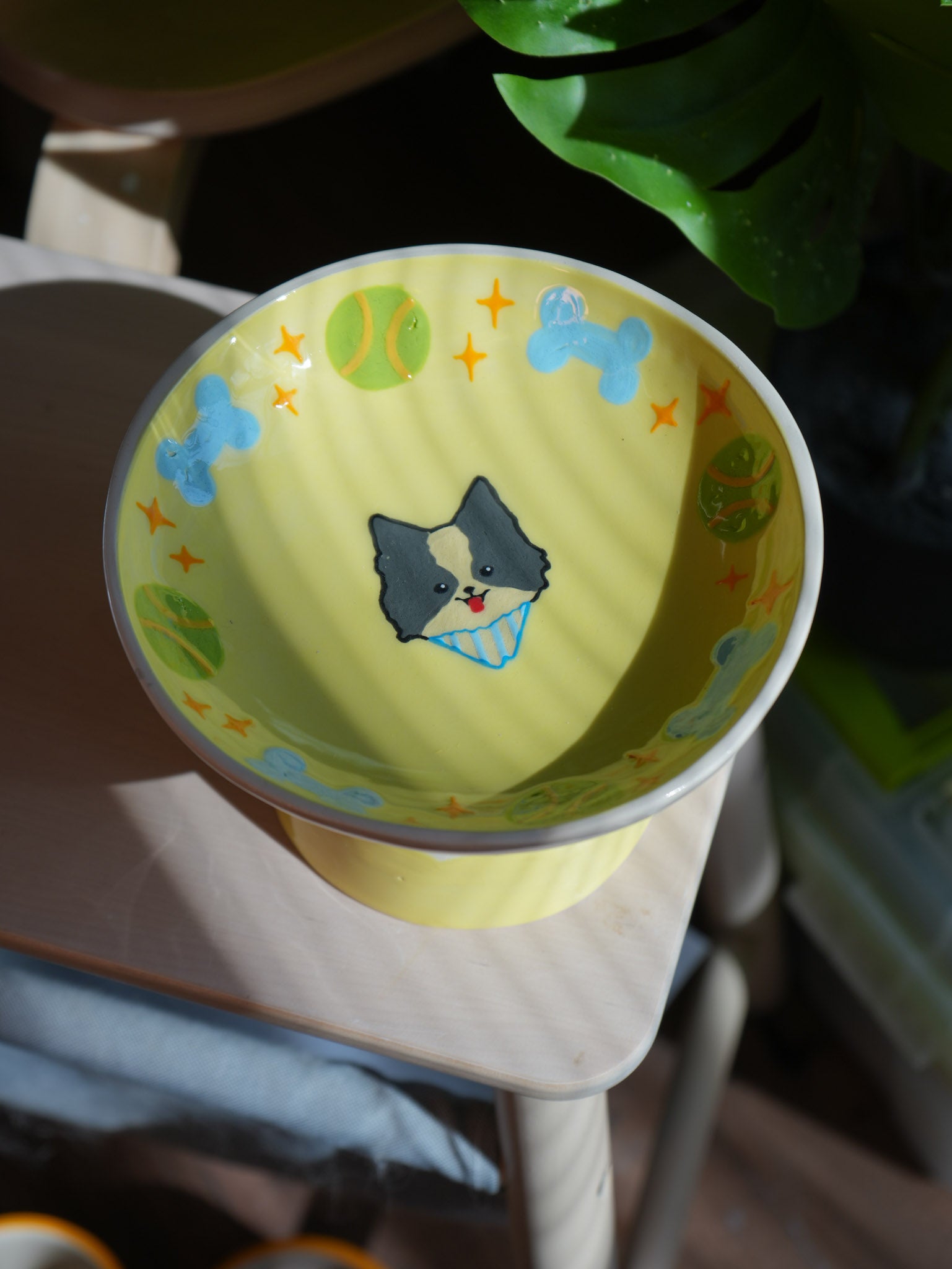 Customised Pet High Bowl